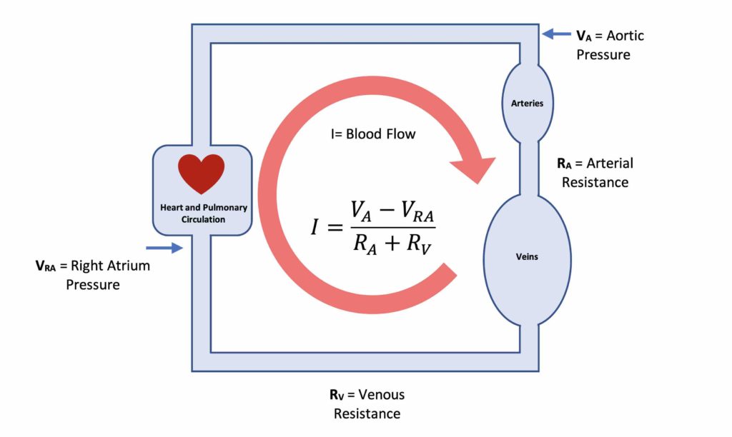 Using Computer Models to Study the Heart