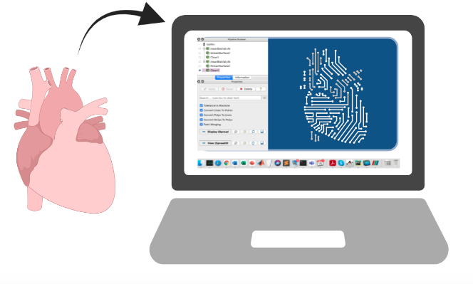 Building a digital twin